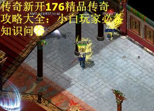 传奇新开176精品传奇攻略大全：小白玩家必备知识问答