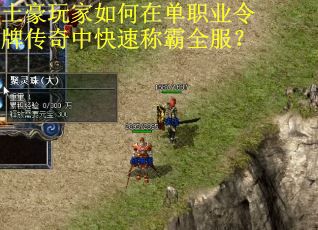土豪玩家如何在单职业令牌传奇中快速称霸全服? 土豪玩家如何在单职业令牌传奇中快速称霸全服?
