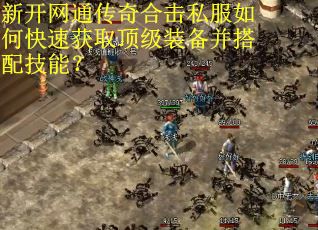 新开网通传奇合击私服如何快速获取顶级装备并搭配技能？