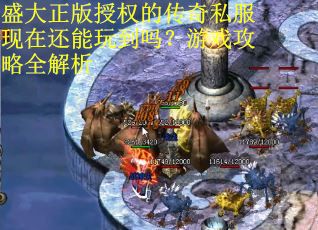 盛大正版授权的传奇私服现在还能玩到吗?游戏攻略全解析 盛大正版授权的传奇私服现在还能玩到吗?游戏攻略全解析