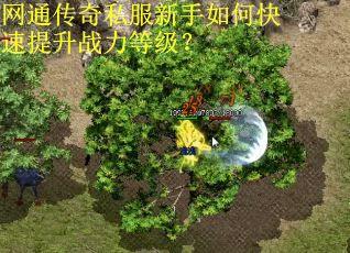 网通传奇私服新手如何快速提升战力等级?