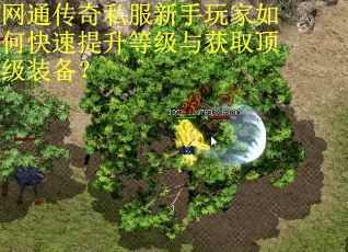 网通传奇私服新手玩家如何快速提升等级与获取顶级装备？