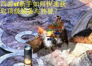 西游sf新手如何快速获取顶级装备与技能?