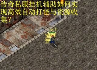 传奇私服挂机辅助如何实现高效自动打怪与资源收集？