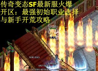 传奇变态SF最新服火爆开区：最强初始职业选择与新手开荒攻略