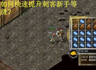 如何快速提升刺客新手等级? 如何快速提升刺客新手等级?