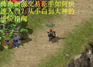 传奇新服交易新手如何快速入门？从小白到大神的进阶指南
