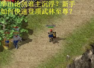 华山论剑谁主沉浮？新手如何快速登顶武林至尊？
