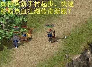 如何从新手村起步,快速称霸热血江湖传奇新服? 如何从新手村起步,快速称霸热血江湖传奇新服?