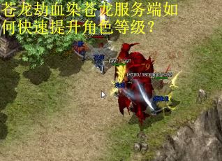 苍龙劫血染苍龙服务端如何快速提升角色等级？